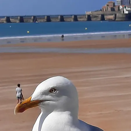 Vue Sur Les Sables-dʼOlonne