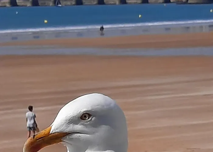 Vue Sur Les Sables-dʼOlonne