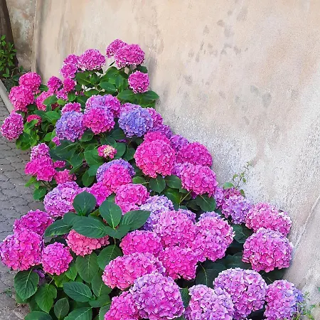 Vue Sur * Les Sables-d'Olonne