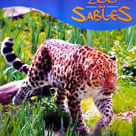 Vue Sur Apartment Les Sables-d'Olonne